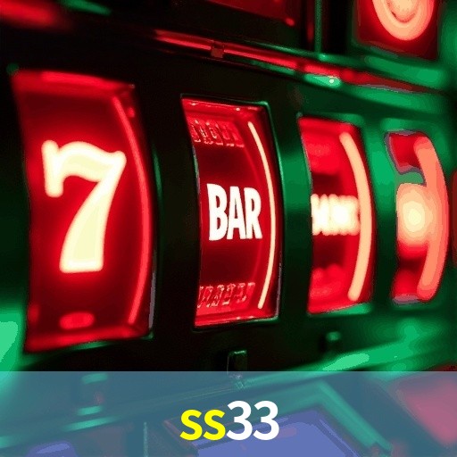 Premium Interface SS33